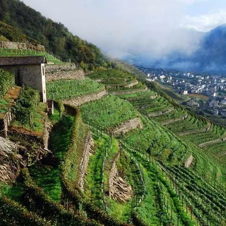 Casa Moiser * Tresenda